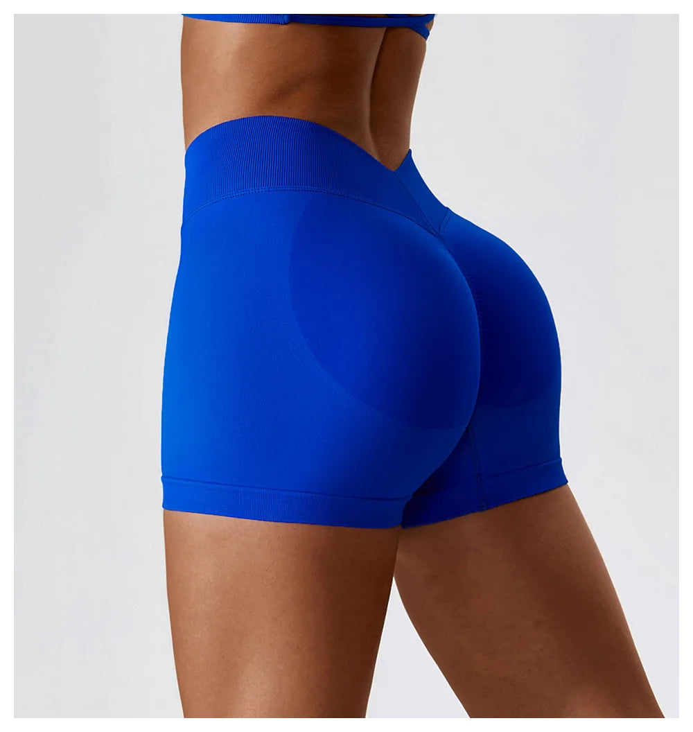 A&A ProSculpt Lift V Back Shorts