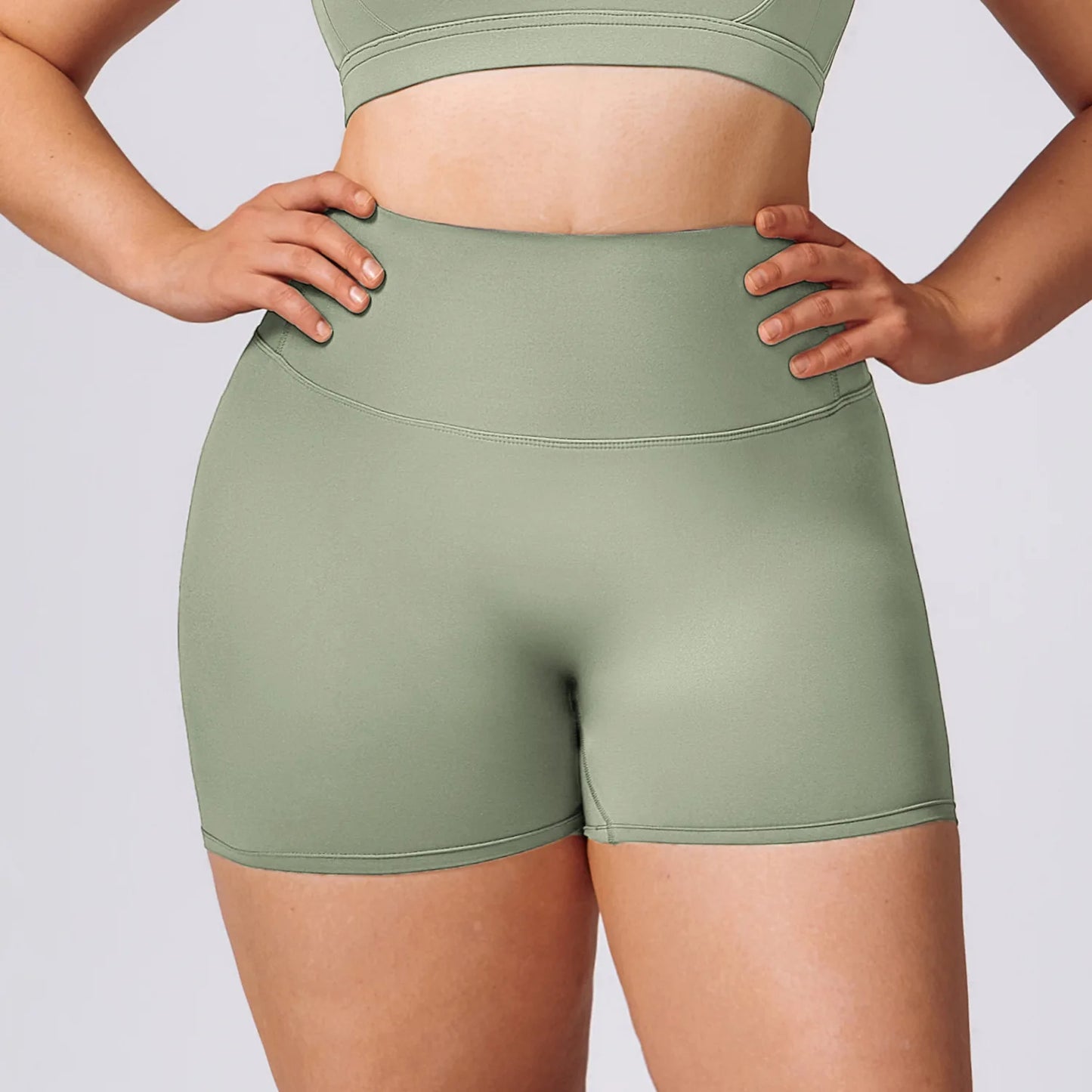 A&A ProSculpt Plus Size High Waist Shorts