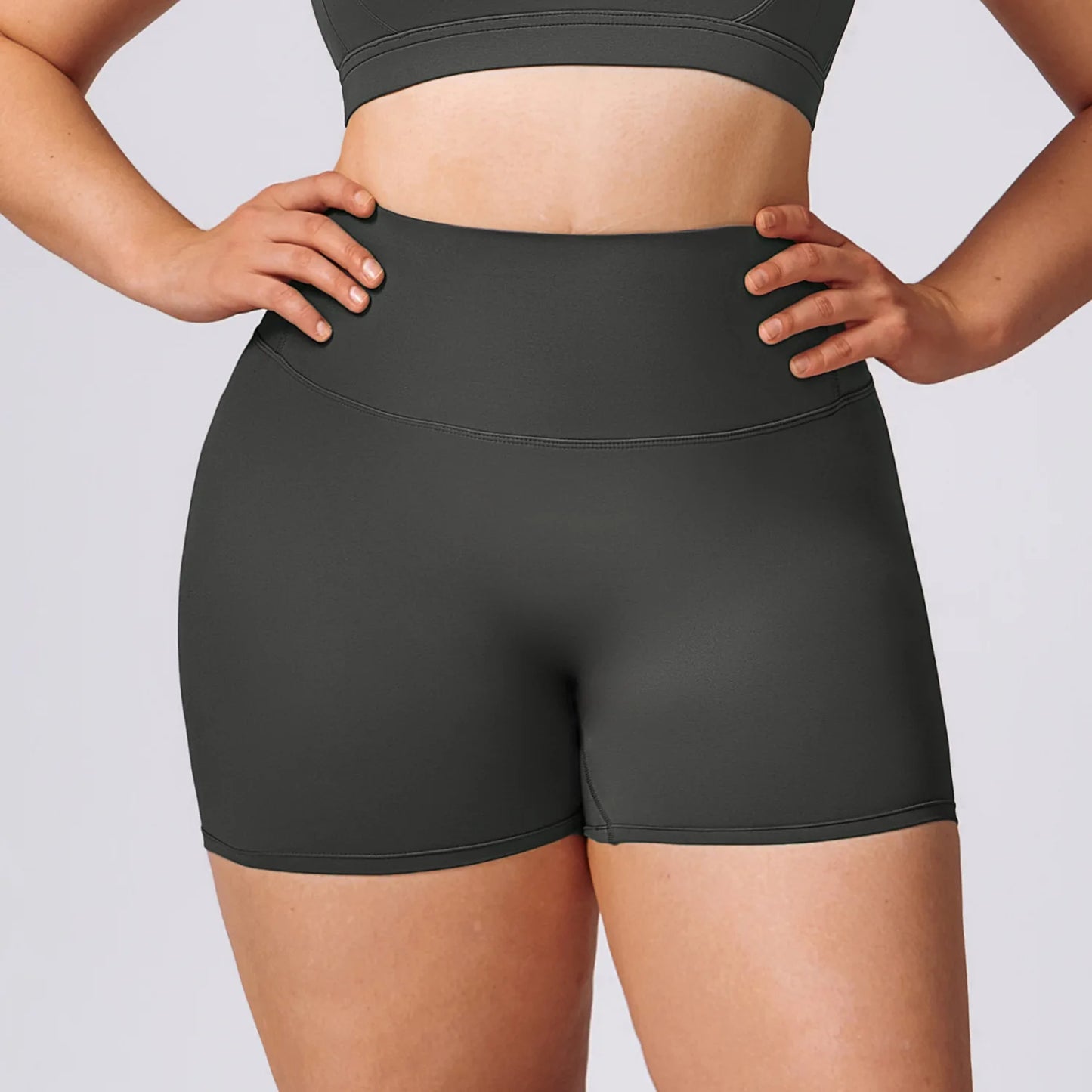 A&A ProSculpt Plus Size High Waist Shorts