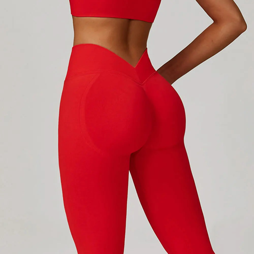 A&A ProSculpt V Back Lift Leggings