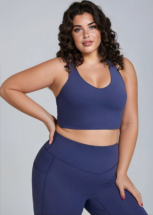 A&A ProSculpt Plus Size Sports Bra